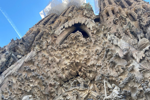 Barcelona: Sagrada Familia Guided Tour with Express Entry Tour with Express Entry