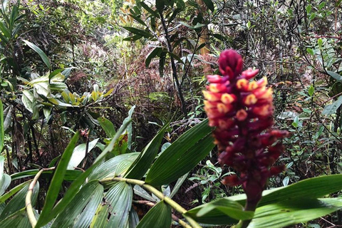 Medellin: Amazing Arvi Natural Reserve