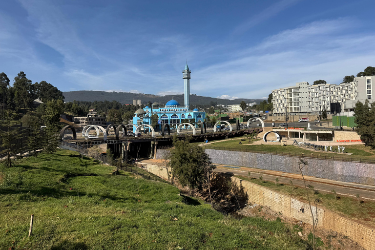 Addis Ababa: 14-Day Adventure and Nature Tour(customizable)