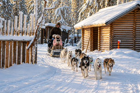 Rovaniemi: Meet Vasco Husky & Enjoy Sled Ride at Husky Farm ⭐ Winter Husky Adventure with Vasco | Jan 1 – Mar 31