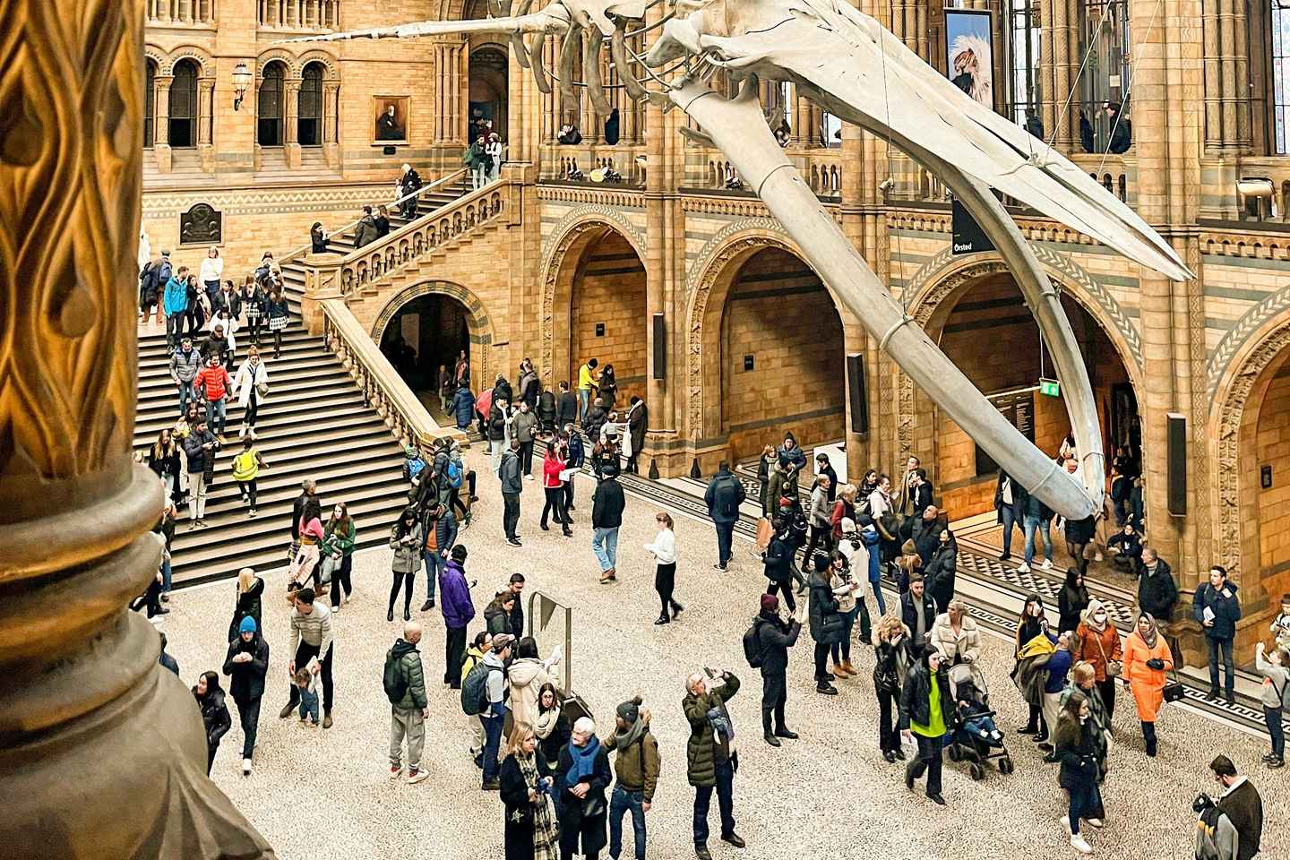 London: Natural History Museum Guided Tour