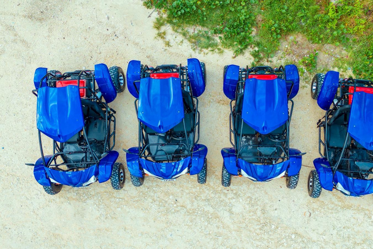 مغامرة عربات التي تجرها الدواب في جنوب زنجبار