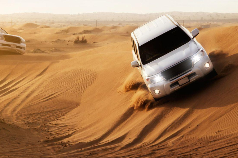 Depuis l'aéroport de Doha Demi-journée de safari dans le désert avec balade à dos de chameauDepuis l'aéroport de Doha Safari dans le désert d'une demi-journée avec promenade à dos de chameau