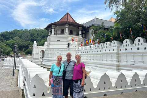 Kandy: Sigiriya, Dambulla, or Habarana Transfer & Tour