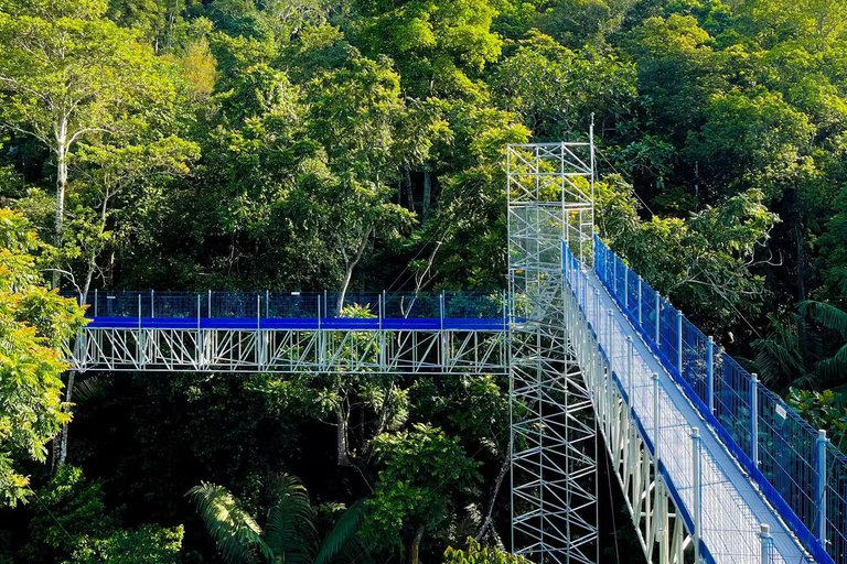 Kuala Lumpur: FRIM (Forest Research Institute Malaysia) Tour Private Tour
