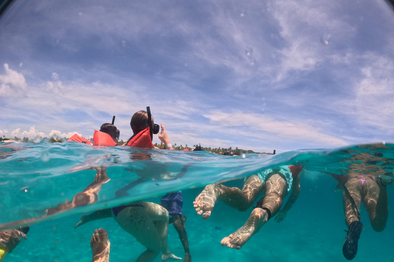 From Punta Cana: Catalina Island with Lunch & Transportation SNORKELING PACK