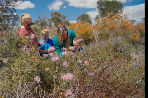 Perth: 2-Day Pinnacles, Sea Lions, and Seafood Tour