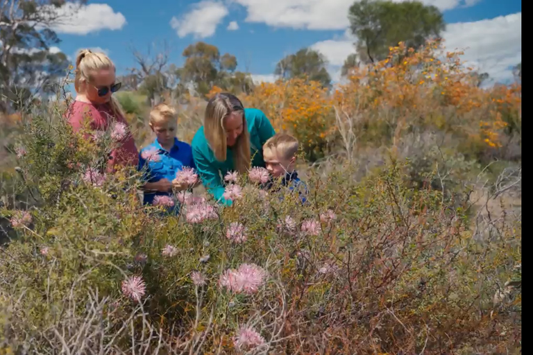 Perth: 2-Day Pinnacles, Sea Lions, and Seafood Tour