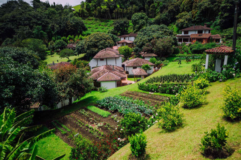 Baños de Agua Santa: Moon Volcano Sightseeing Tour