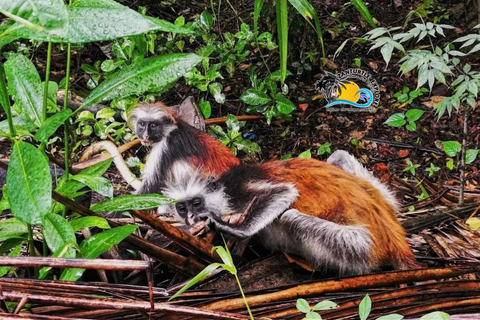 Zanzibar: Jozani Forest & Salaam Cave Sea Turtles Swim Tour Option Without Hotel Transfers