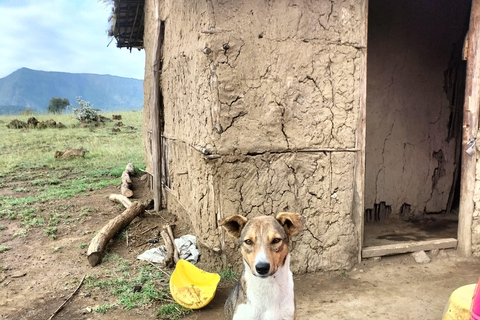 EXPERIÊNCIA MAASAI NO MT SUSWAPASSEIO AO MT SUSWA MAASAI