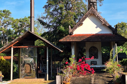 Khao Lak: Local Life and Culture Tour with Lunch