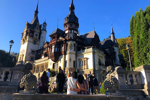 Brasov : château de Bran, sanctuaire des ours, Rasnov (Peles en option)