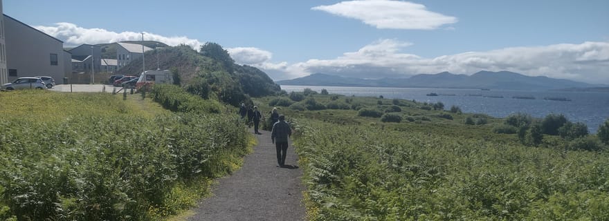 Visites guidées d'Oban et d'Argyll