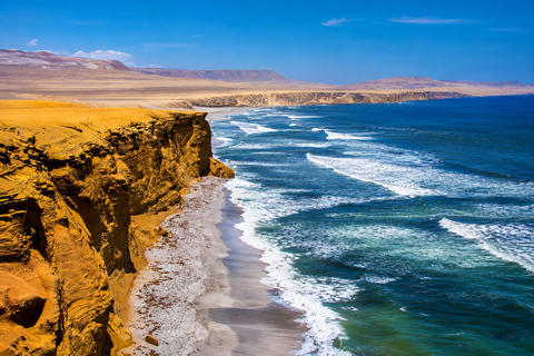 Paracas National Reserve Group Tour from Paracas