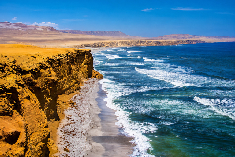 Paracas National Reserve Group Tour from Paracas