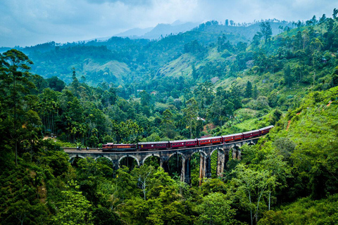 Sri Lanka: Passeios turísticos, de aventura e de luxo