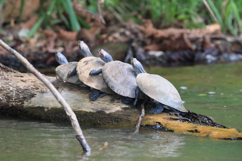 Puerto Maldonado: Excursión de 3 días al Lago Tambopata Sandoval