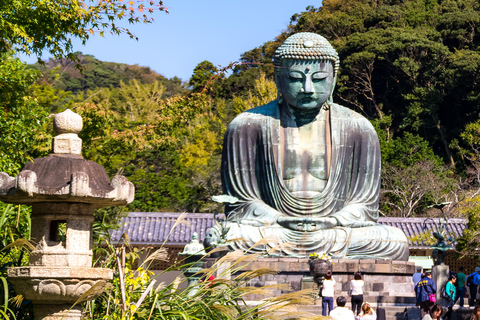 Kyoto: Nara, Todaiji, Kasuga Taisha Schrein Privater GanztagPrivate Tour mit Treffpunkt in Kyoto