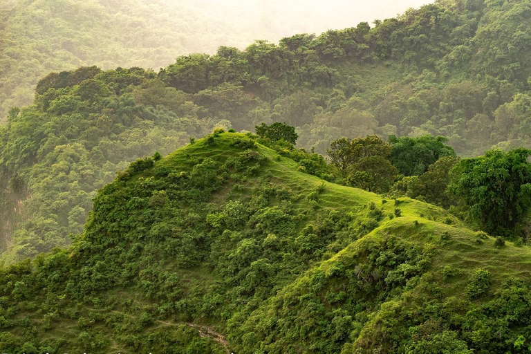 نيروبي: جولة مشي طويلة بصحبة مرشدين في تلال نغونغ مع حبل انزلاق اختياري
