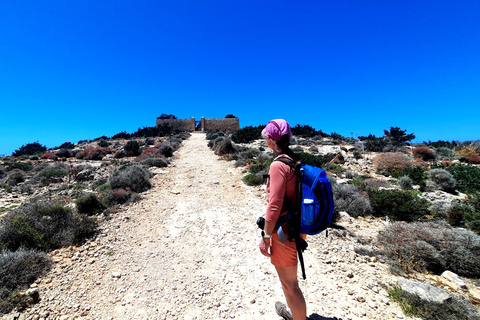 Gozo Unveiled: Guided Hiking in Comino Island