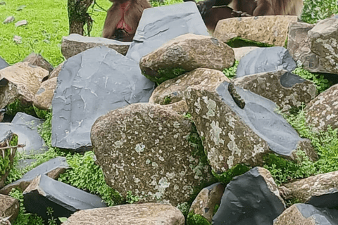 Debre Libanos: Faith, History, and the Portuguese Bridge