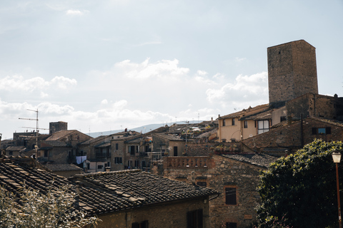 Firenze: Pisa, Siena, San Gimignano e l&#039;esperienza del Chianti