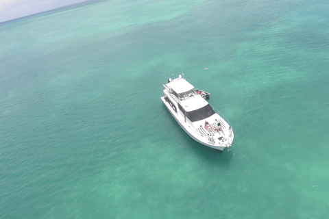 Punta Cana: Saona Island Private Catamaran Tour & Lunch