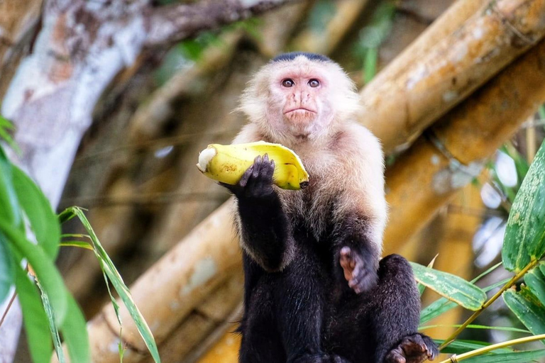 Visita a los indios y descubre la selva tropical