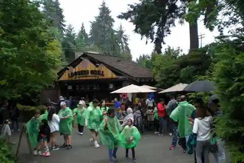 Vancouver: Aventura na cidade e na montanha com a Grouse Mountain