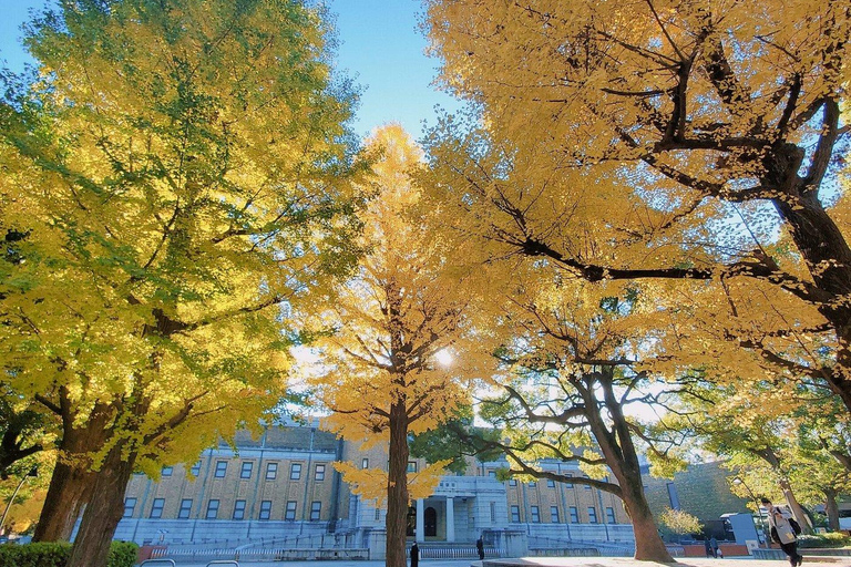 Tokyo: Private City Highlights Tour with Guide