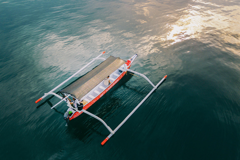 Bali: Dolphin Swimming Tour with ATV Quad Bike & Waterfall Dolphin, Waterfall, Tandem ATV Bike (Central & South Bali)