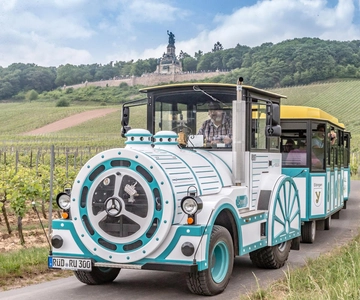 Rüdesheim sightseeingtour met de Winzerexpress
