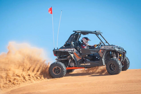 Qatar Desert Trails: Horse Ride & Dune Buggy Adventure