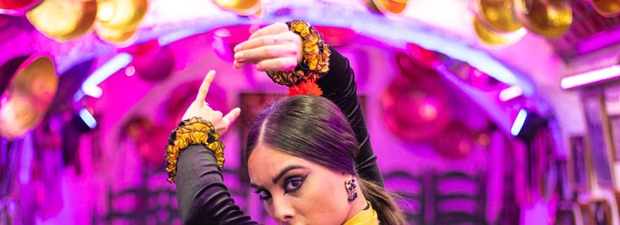 Granada: Spettacolo di flamenco alla Cueva de la Rocío
