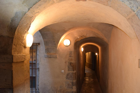 Lyon: Guided walk through the heart of the secret traboules