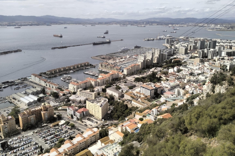 De Séville: visite privée d'une journée à Gibraltar