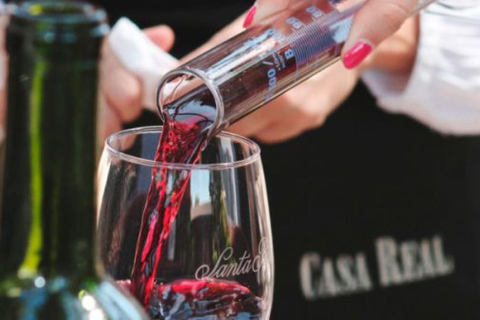 Vanuit Santiago: Tour Viña Santa Rita met transferVanuit Santiago: Tour naar Viña Santa Rita met vervoer