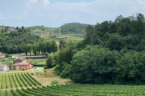 Tour de vinhos da Toscana de ônibus saindo de Lucca