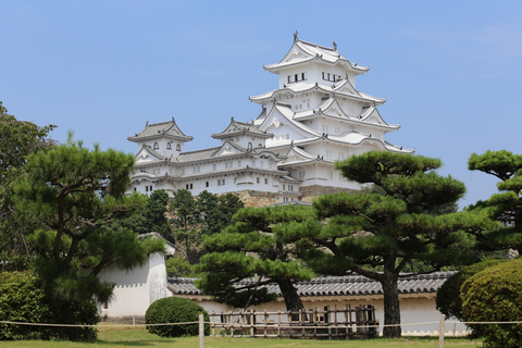 Himeji Castle Guided Tour and Kobe Beef Lunch from Kyoto Return Shinkansen (bullet train) ticket to Shin-Osaka