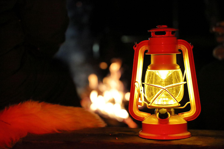 Helsinki: Light in the Dark Forest Experience Experience from Kerava