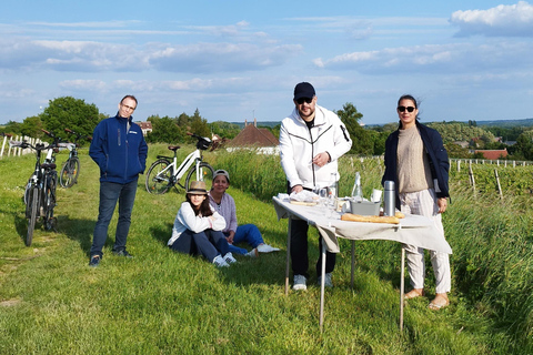 Giro in ebike dei vini e dei formaggi della Touraine, con degustazione nei vigneti