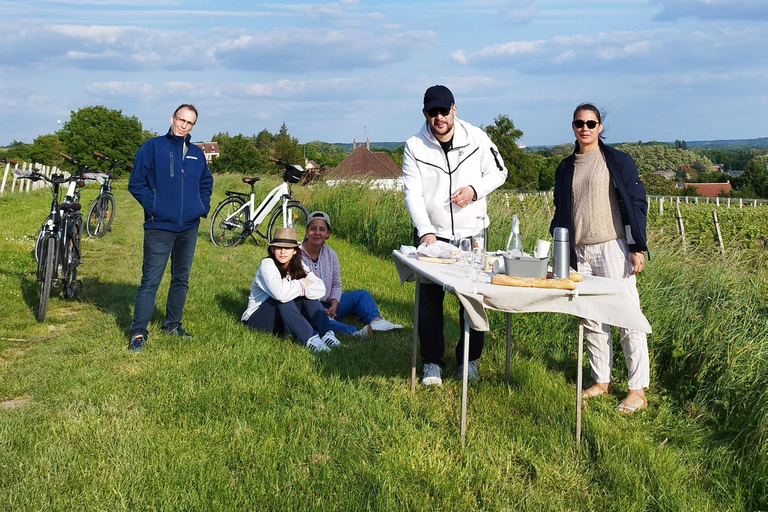 Giro in ebike dei vini e dei formaggi della Touraine, con degustazione nei vigneti