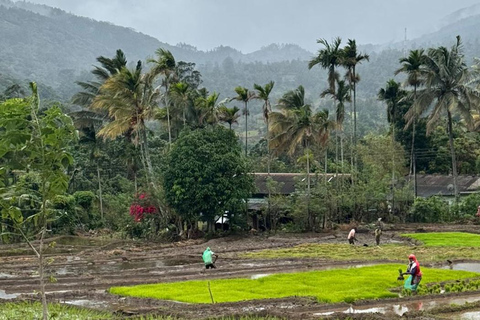 Belihuloya Trails Stage 1 : 3-Day Tour with Drop off at Ella