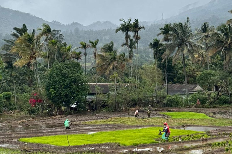 Belihuloya Trails Stage 1 : 3-Day Tour with Drop off at Ella