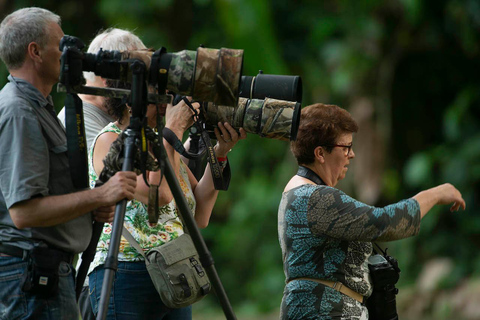 Carara National Park: Guided Walk Carara Costa Rica Nature