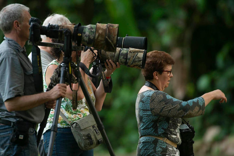 Carara National Park: Best Tour Carara National Park-One Day