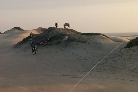 Sandwich Harbour: Sunset Photography Tour from Swakopmund