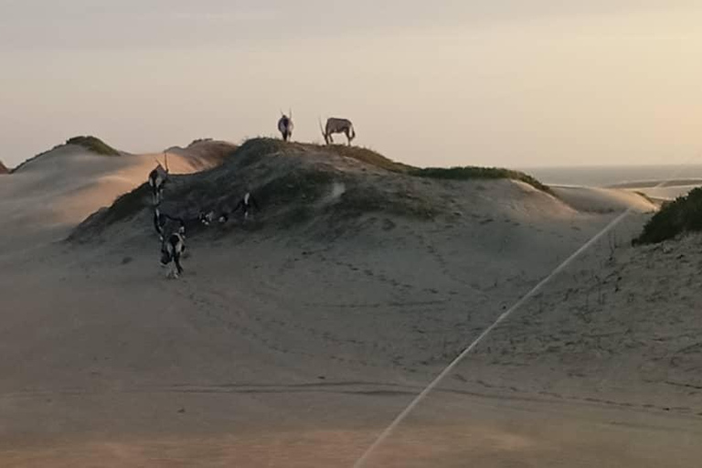 Sandwich Harbour: Sunset Photography Tour from Swakopmund