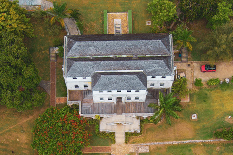 Luminous Lagoon and Rose Hall Great House Night Tour From Falmouth/ Trelawny